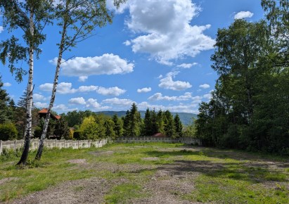 działka na sprzedaż - Wilkowice, Bystra